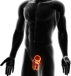erectile dysfunction