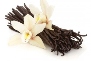Vanilla